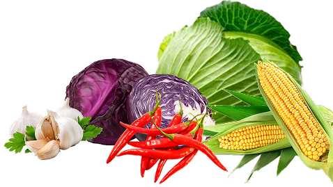 collection of fruits